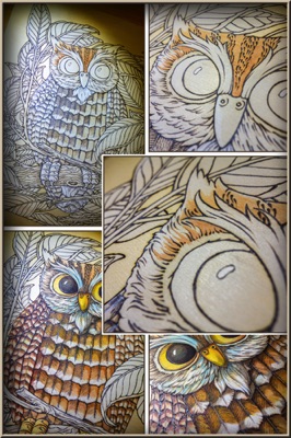 Owl Puzzle WIP - 04